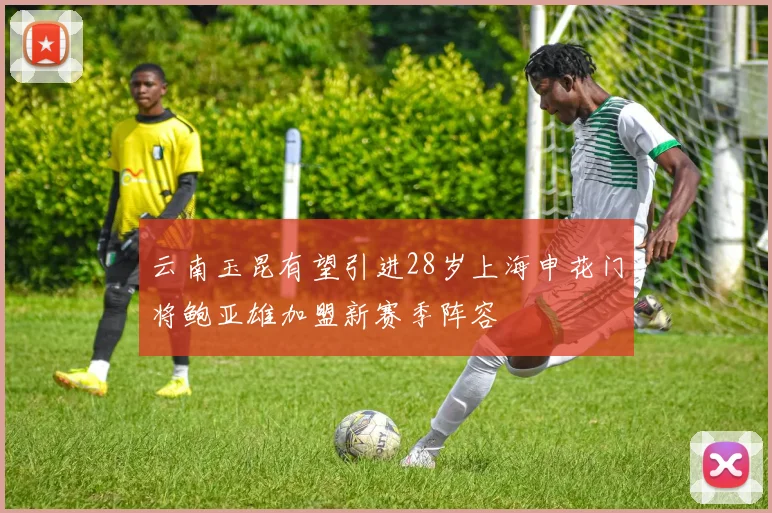 云南玉昆有望引进28岁上海申花门将鲍亚雄加盟新赛季阵容