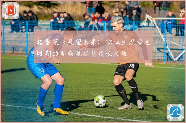 格雷茨卡展望未来：职业生涯黄金时期的自我放松与成长之路