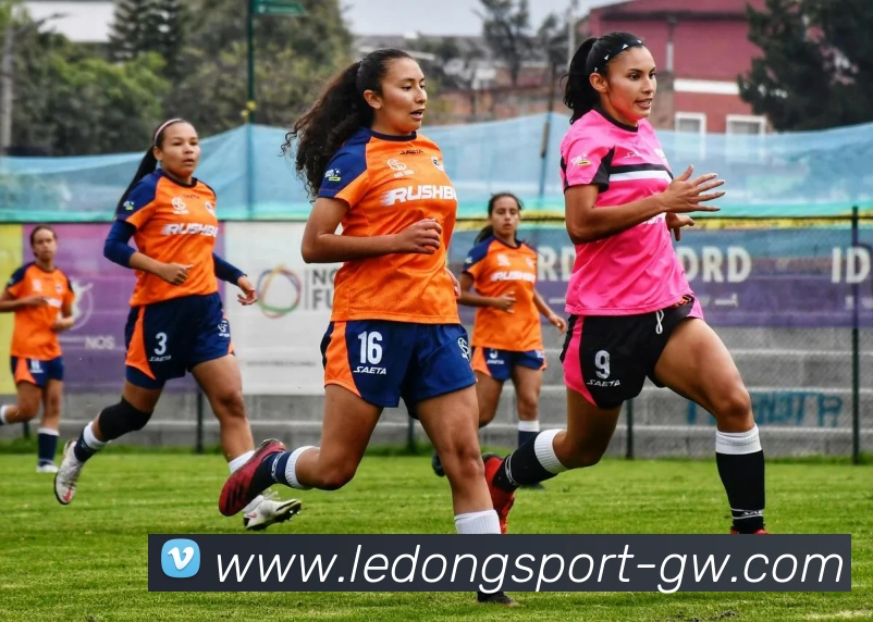 App Interface Preview