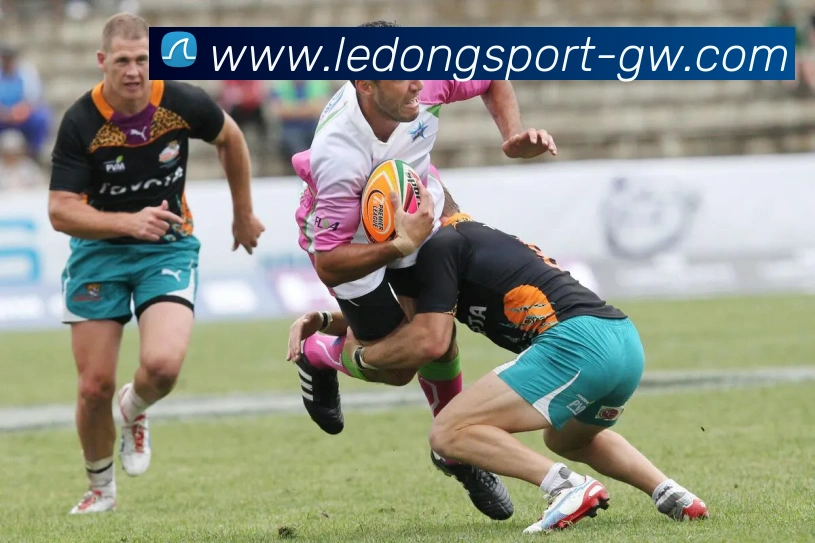 乐动体育APP 封面图